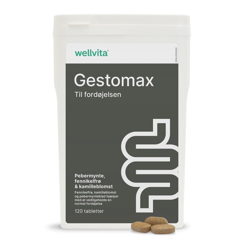 Wellvita Gestomax