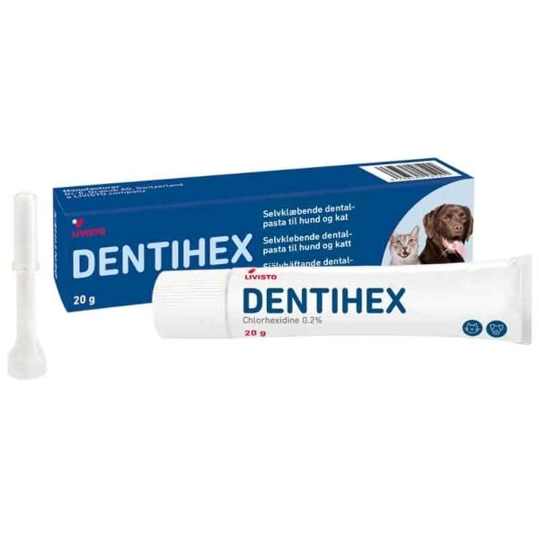 Dentihex