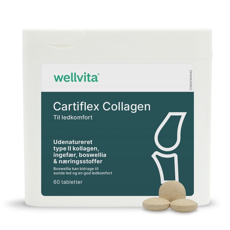 Wellvita Cartiflex Collagen