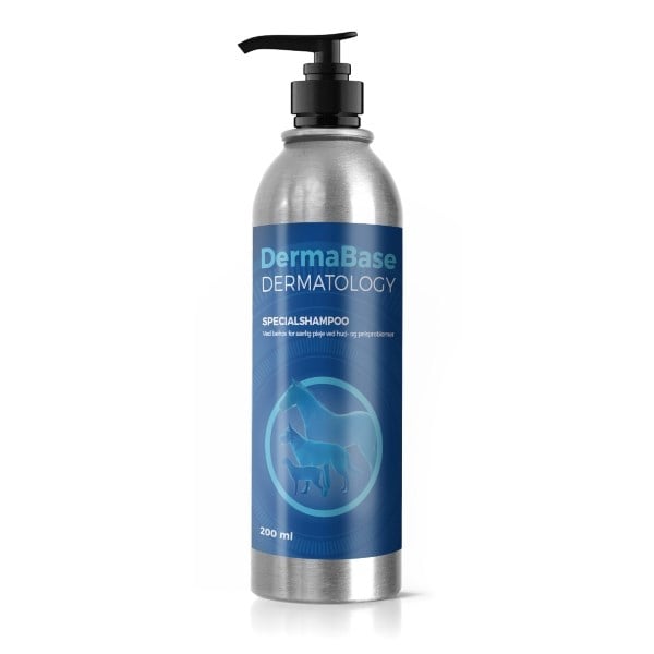DermaBase shampoo