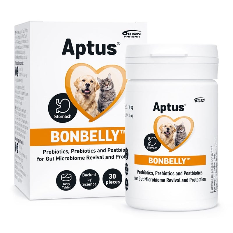 Aptus bonbelly