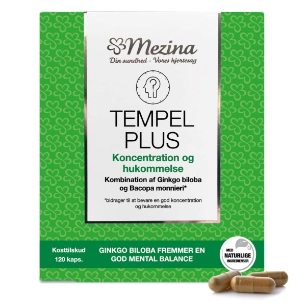 Mezina tempel plus