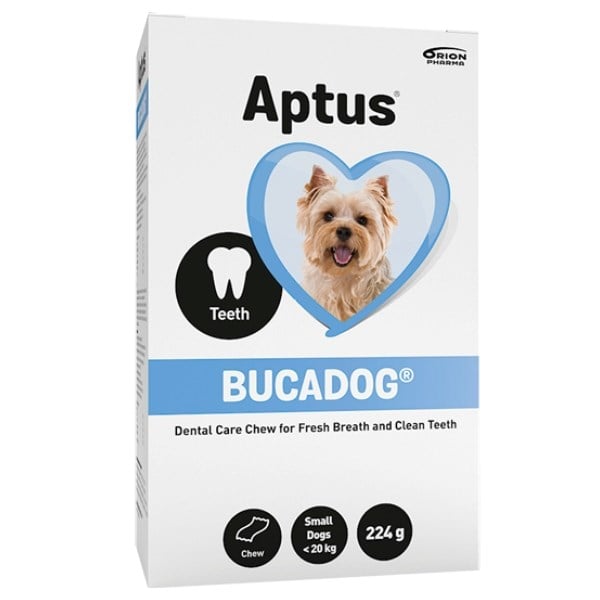 Aptus bucadog small