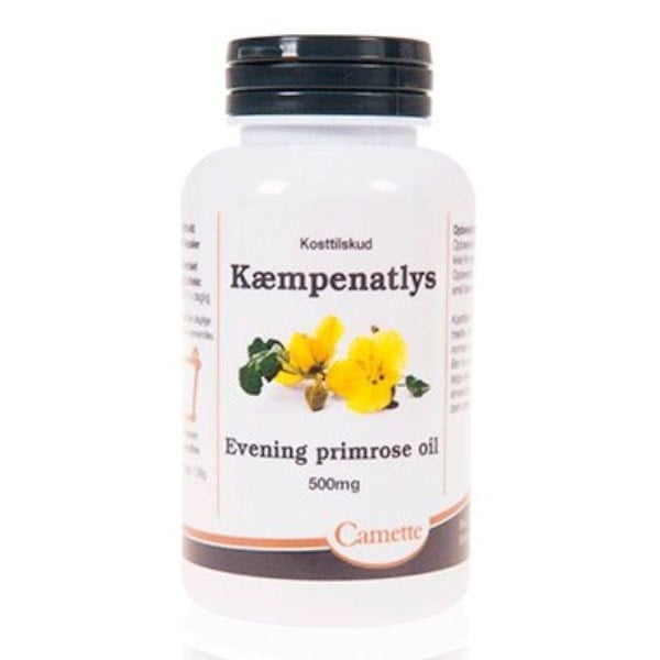 Camette kæmpenatlysolie